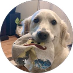 Profile photo of Lori Goddard