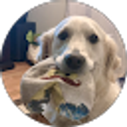 Profile photo of Lori Goddard