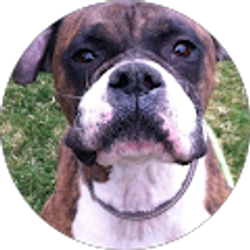 Profile photo of Abbi