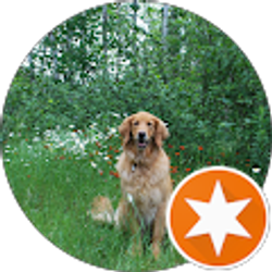 Profile photo of Dawn Bowen