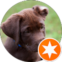 Profile photo of Jeff Salvage