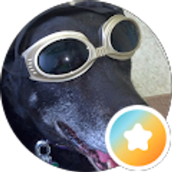 Profile photo of Julie B