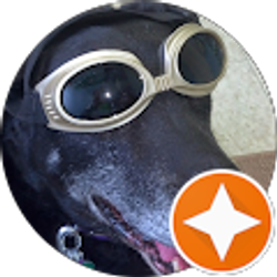 Profile photo of Julie B