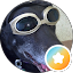 Profile photo of Julie B