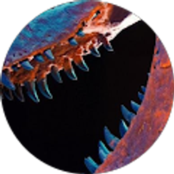 Profile photo of Halle Bristol