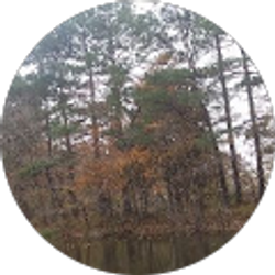 Profile photo of Jamie Johnson