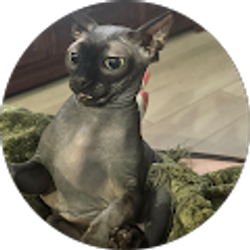 Profile photo of teehf