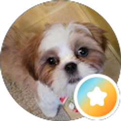 Profile photo of k king