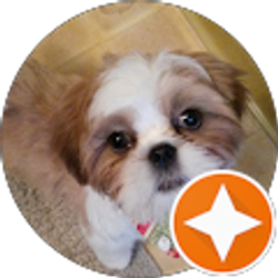 Profile photo of k king