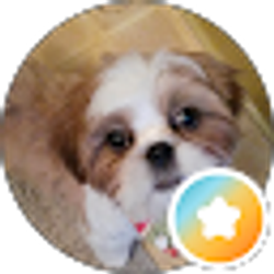Profile photo of k king