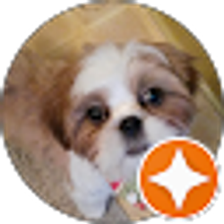 Profile photo of k king