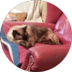 Profile photo of Ralph Mogelinski