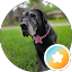 Profile photo of Kacie Houk