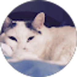 Profile photo of Ellen