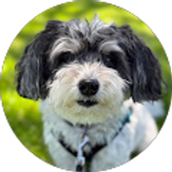 Profile photo of Sandy Aquino