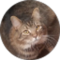 Profile photo of Kim Alexander