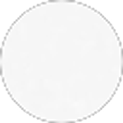 Profile photo of Sandra Santiago