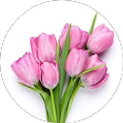 Profile photo of Lisa Jank