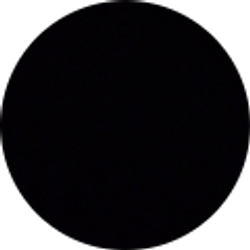 Profile photo of Shawn Lee