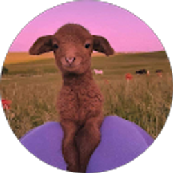 Profile photo of kristian herrera