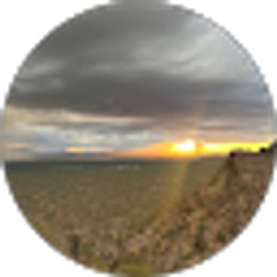 Profile photo of Regan Little