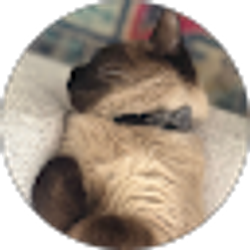 Profile photo of Alma Ismail Husic