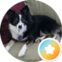 Profile photo of Susan Mitchell