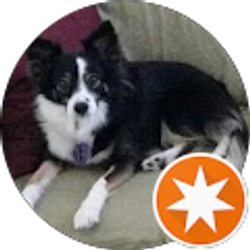 Profile photo of Susan Mitchell