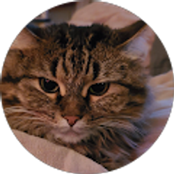 Profile photo of Lynn Loder