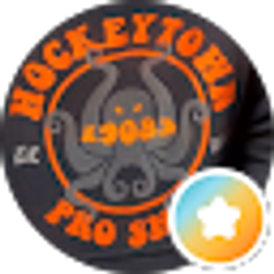 Profile photo of Hockeytown Pro Shop