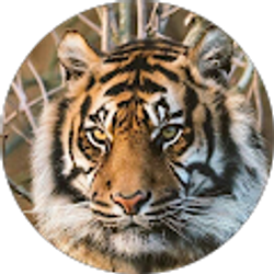Profile photo of Bruce Kim (Bruceki*thunderkim)