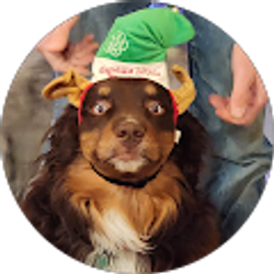 Profile photo of Sarah Friedrich