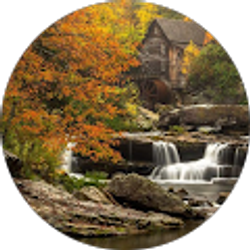 Profile photo of Brandon Lopez