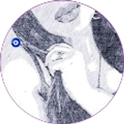 Profile photo of MK Kanela