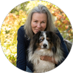 Profile photo of Stevie Marlis