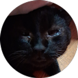 Profile photo of Jen