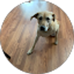 Profile photo of Cody Coleman