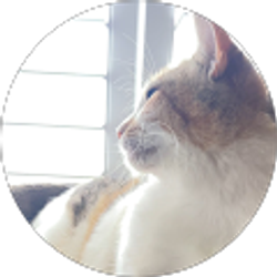 Profile photo of Christie Bedgood