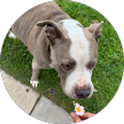 Profile photo of Lynette