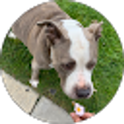 Profile photo of Lynette
