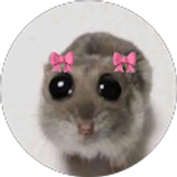 Profile photo of India Chavez