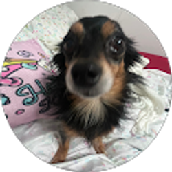 Profile photo of Ashlee Zamora