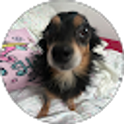 Profile photo of Ashlee Zamora