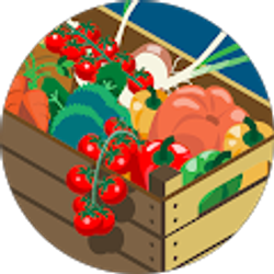 Profile photo of Ramaija Ajaram