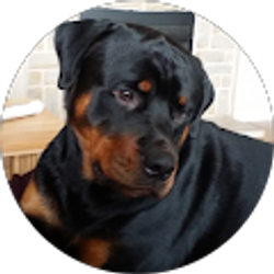 Profile photo of Patty