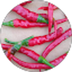 Profile photo of Stuwoods Splums