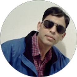 Profile photo of Krishna Biswa