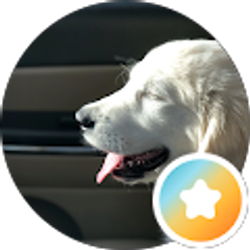 Profile photo of Jessica Bardenheier