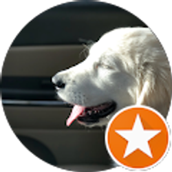 Profile photo of Jessica Bardenheier