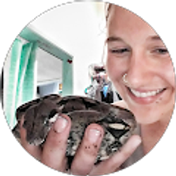 Profile photo of Jessica Telbizoff